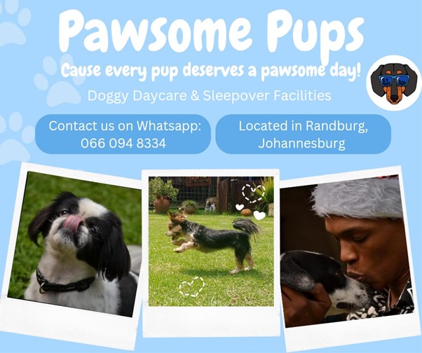 Pawsome Pups